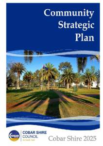    Strategic Planning Framework    The Community  Engagement Strategy 