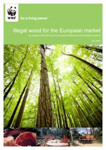 Microsoft Word - EU_illegal_logging_english_FINAL_17 JulyPM.DOC