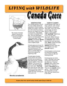 The range of Canada Geese is along both coasts and throughout central and lower United States.