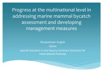 Progress at the multinational level in addressing marine mammal bycatch assessment and developing management measures Elizabethann English NOAA