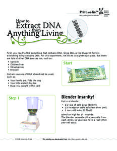 Print-and-Go™ http://learn.genetics.utah.edu First, you need to find something that contains DNA. Since DNA is the blueprint for life, everything living contains DNA. For this experiment, we like to use green split pea