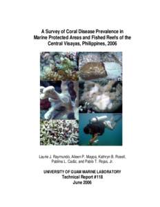 Biology / Coral / Marine protected area / Porites / Black band disease / Skeletal eroding band / Central Visayas / Apo Island / Southeast Asian coral reefs / Coral reefs / Water / Physical geography