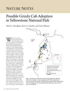 NATURE NOTES  Possible Grizzly Cub Adoption in Yellowstone National Park Mark A. Haroldson, Kerry A. Gunther, and Travis Wyman