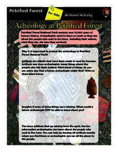 Petrified Forest  At Home Activity Acheology at Petrified Forest Petrified Forest National Park protects over 13,000 years of