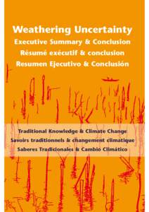 Weathering uncertainty: executive summary & conclusion; 2012