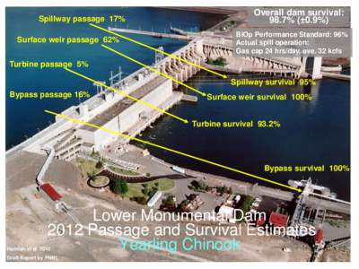 Spillway passage 17% Surface weir passage 62% Overall dam survival: 98.7% (±0.9%) BiOp Performance Standard: 96%