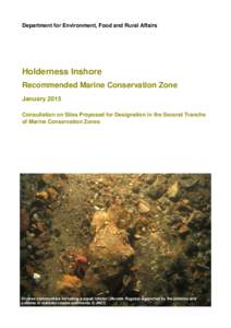 Department for Environment, Food and Rural Affairs  Holderness Inshore Recommended Marine Conservation Zone January 2015 Consultation on Sites Proposed for Designation in the Second Tranche