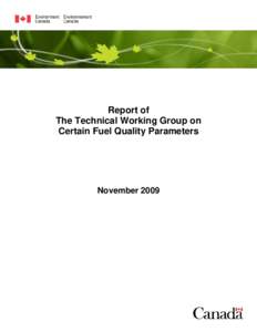 Technical Working Group Report : Outline