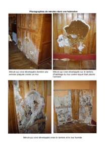 Photographies de mérules dans une habitation  Mérule qui s’est développée derrière une  armoire plaquée contre un mur  Mérule qui s’est développée sur le lambris 