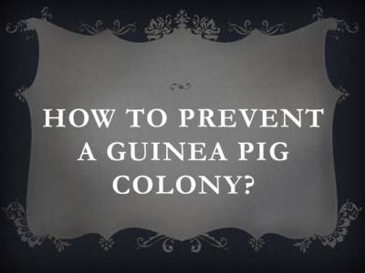 HOW TO PREVENT A GUINEA PIG COLONY? HOW TO DEFINE?  US-EPA : An exotic species is a non-native plant or animal deliberately or