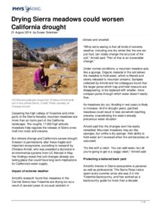 Drying Sierra meadows could worsen California drought