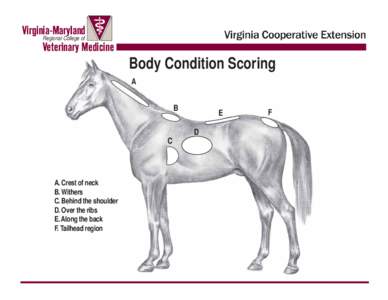 Virginia-Maryland Regional College of Veterinary Medicine  Body Condition Scoring