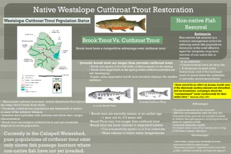 Native Westslope Cutthroat Trout Restoration Non-native Fish Removal Westslope Cutthroat Trout Population Status