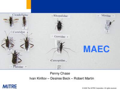 MAEC Penny Chase Ivan Kirillov – Desiree Beck – Robert Martin © 2009 The MITRE Corporation. All rights reserved.  Why Do We Need to Develop Standards for
