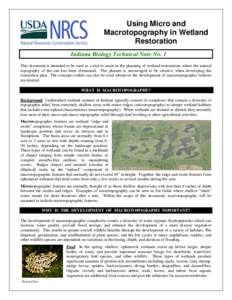 Using Micro and Macrotopography in Wetland Restoration Indiana Biology Technical Note No. 1 This document is intended to be used as a tool to assist in the planning of wetland restorations where the natural topography of