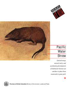 Pacific Water Shrew Limited range, natural rarity, and accelerating development