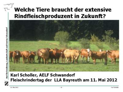 Amt für Ernährung, Landwirtschaft und Forsten Schwandorf  Welche Tiere braucht der extensive