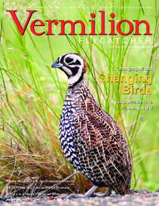 Vermilion THE QUARTERLY NEWS MAGAZINE OF TUCSON AUDUBON SOCIETY | TUCSONAUDUBON.ORG Tucson Audubon Society | tucsonaudubon.org f l y c a t c h e r