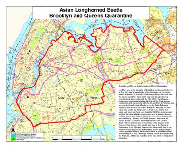 Asian Longhorned Beetle Brooklyn and Queens Quarantine G E