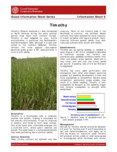 Poaceae / Livestock / Grasslands / Pooideae / Alfalfa / Vegetables / Hay / Forage / Phleum / Agriculture / Botany / Commelinids