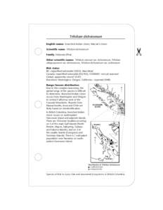 Species at Risk in Garry Oak & Associated Ecosystems in British Columbia (Trifolium dichotomum)