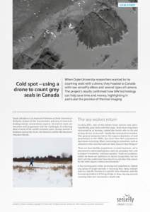 CASE STUDY  Cold spot – using a drone to count grey seals in Canada