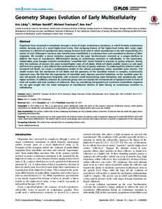 Geometry Shapes Evolution of Early Multicellularity Eric Libby1*, William Ratcliff2, Michael Travisano3, Ben Kerr4 1 Santa Fe Institute, Santa Fe, New Mexico, United States of America, 2 School of Biology, Georgia Instit