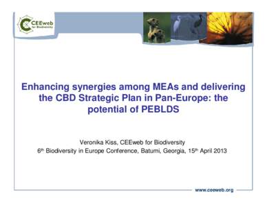 Enhancing synergies among MEAs and delivering the CBD Strategic Plan in Pan-Europe: the potential of PEBLDS Veronika Kiss, CEEweb for Biodiversity 6th Biodiversity in Europe Conference, Batumi, Georgia, 15th April 2013