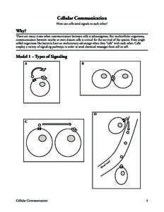 Cellular Communication How can cells send signals to each other? Why? There are many times when communication between cells is advantageous. For multicellular organisms, communication between nearby or even distant cells