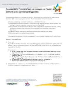 TennesseeWorks Partnership Team and Employers and Providers Workgroup Comments on the Definitions and Appendices TennesseeWorks is working to increase the number of young people with intellectual and developmental disabi