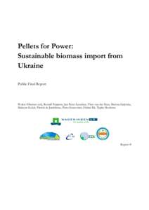 Pellets for Power: Sustainable biomass import from Ukraine Public Final Report  Wolter Elbersen (ed), Ronald Poppens, Jan Peter Lesschen, Theo van der Sluis, Maryna Galytska,