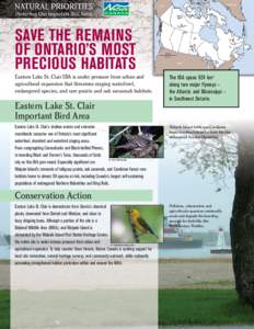 SAVE THE REMAINS OF ONTARIO’S MOST PRECIOUS HABITATS Eastern Lake St. Clair IBA is under pressure from urban and agricultural expansion that threatens staging waterfowl, endangered species, and rare prairie and oak sav