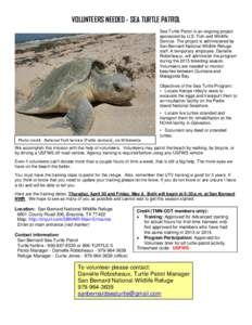 Microsoft Word - Turtle-Patrol-Flier.doc