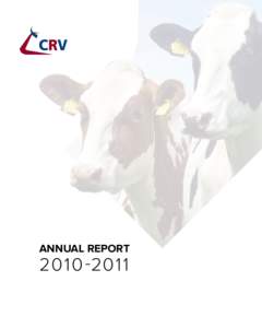 annual report CONTENT MESSAGE FROM THE CHAIRMAN