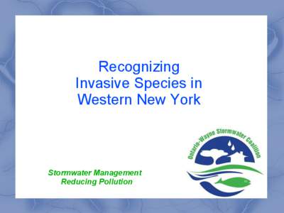 Recognizing Invasive Species in Western New York Stormwater Management Reducing Pollution