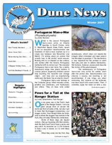 Dune News A quarterly newsletter sponsored by The Friends of MacArthur Beach State Park, Inc. Winter[removed]Portuguese Man-o-War