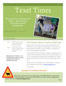 Texel Times The newsletter featuring Texel Sheep – the breed with exceptional muscle development November 2011, v.8, no.5