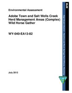 Environmental Assessment  WY-040-EA13-82 July 2013