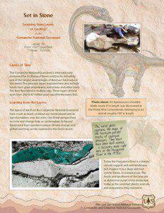 Purgatoire River track site / Comanche National Grassland / Trace fossil / Canyonlands National Park / Triassic / Jurassic / Paleontology / Fossil / Geological unit / Geology / Utah / Geography of the United States