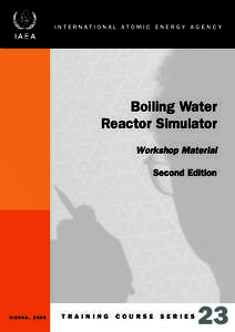 Light water reactors / Nuclear energy in the United States / Energy conversion / Boiling water reactor / Advanced boiling water reactor / Pressurized water reactor / Control rod / Nuclear reactor / Reactor vessel / Nuclear technology / Energy / Nuclear safety