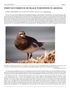 Arizona Birds Online  Volume 2 FIRST OCCURRENCE OF BLACK TURNSTONE IN ARIZONA Mark M. Stevenson, 4201 E. Monte Vista Dr. #J207, Tucson, AZ 85712, [removed]