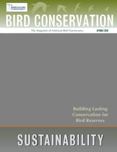 BIRD CONSERVATION The Magazine of American Bird Conservancy SPRING[removed]Building Lasting
