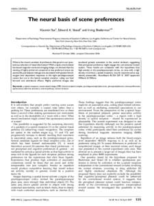 NEUROREPORT  VISION, CENTRAL The neural basis of scene preferences Xiaomin Yuea, Edward A. Vesselc and Irving Biedermana,b