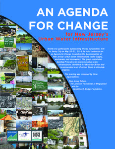 Civil engineering / Water / Green infrastructure / Combined sewer / Infrastructure / Stormwater / Water supply / Water supply and sanitation in the United States / Water pollution / Environmental engineering / Environment