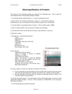 Electrophoresis / Membrane technology / Laboratory techniques / SDS-PAGE / Electroelution / Coomassie Brilliant Blue / Dialysis tubing / Dialysis / Gel / Chemistry / Molecular biology / Protein methods