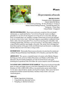 Flora / Hesperomannia arborescens / Botany / Hesperomannia lydgatei / Hesperomannia arbuscula / Hesperomannia / Biota