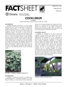 Biology / Botany / Organochlorides / Medicinal plants / Cocklebur / Bur / Xanthium strumarium / Dicamba / Seed / Agriculture / Herbicides / Endocrine disruptors