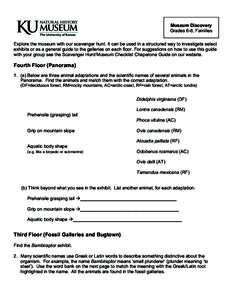 Museum Discovery Grades 6-8, Families   Explore the museum with our scavenger hunt. It can be used in a structured way to investigate select exhibits or as a general guide to the galleries on each floor. For suggestion