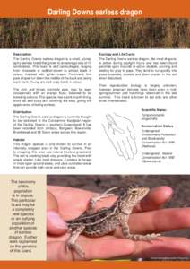 Tympanocryptis / Earless lizard / Soil / Lizard / Darling Downs / Herpetology / Land management / Agamidae