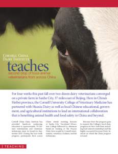 Cornell China Dairy Institute teaches  second crop of food-animal